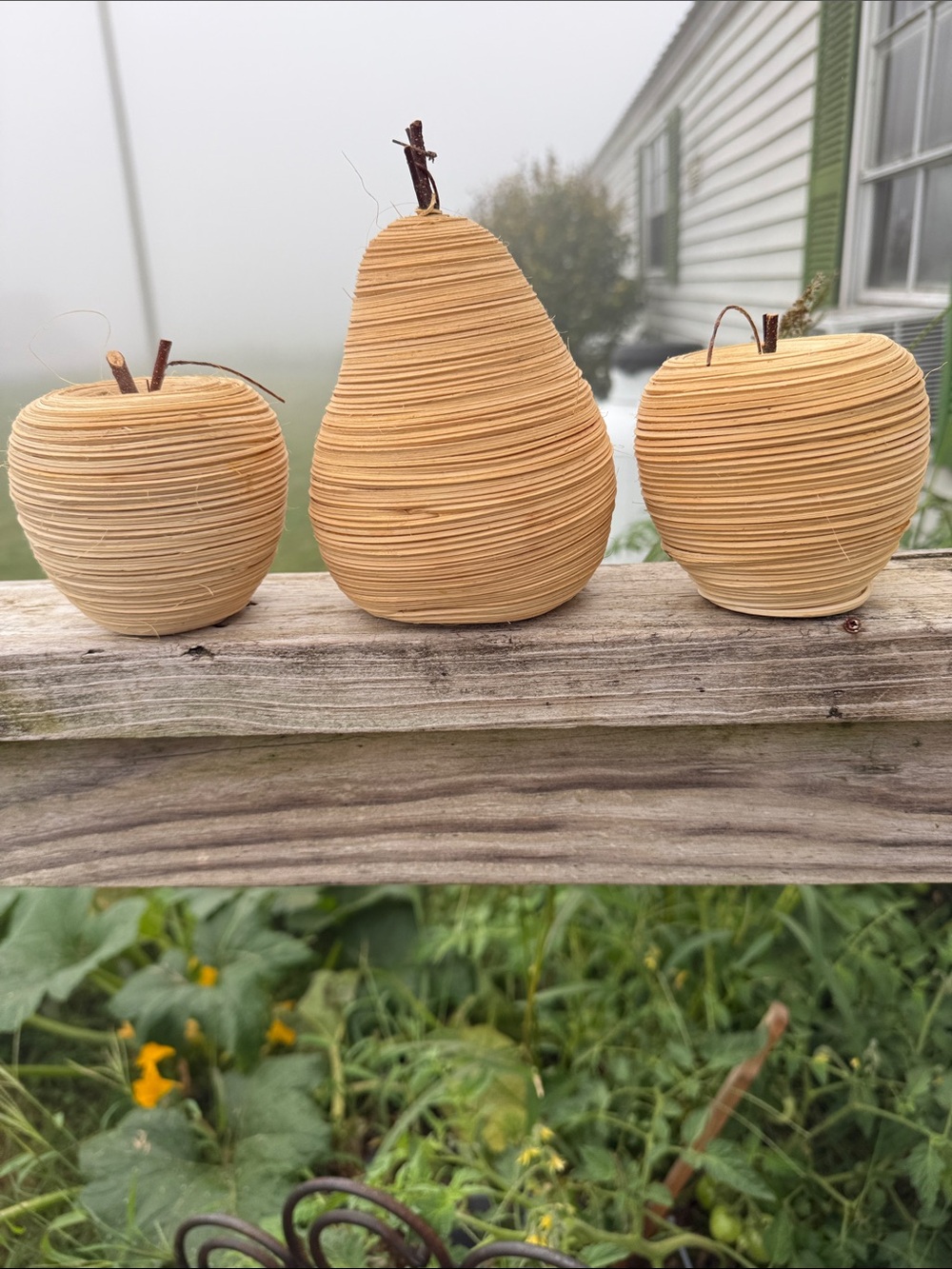 Neutral Tan Rattan Fruit Sculpture Set by cottage pottery barn vibe